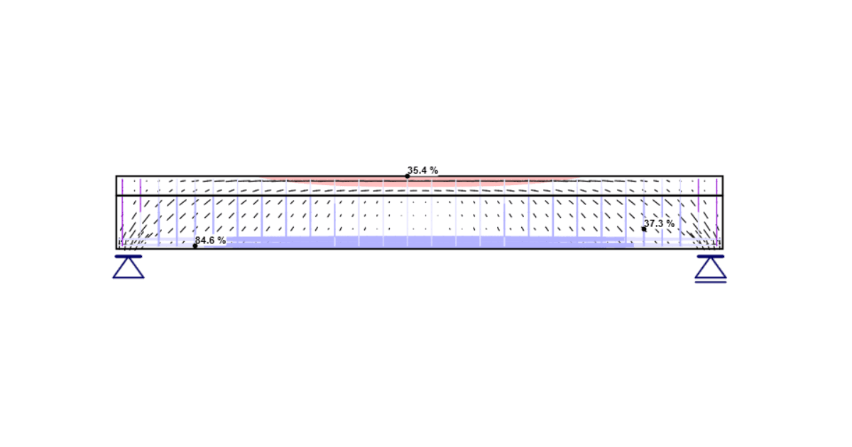 General description of Summary results in Detail application
