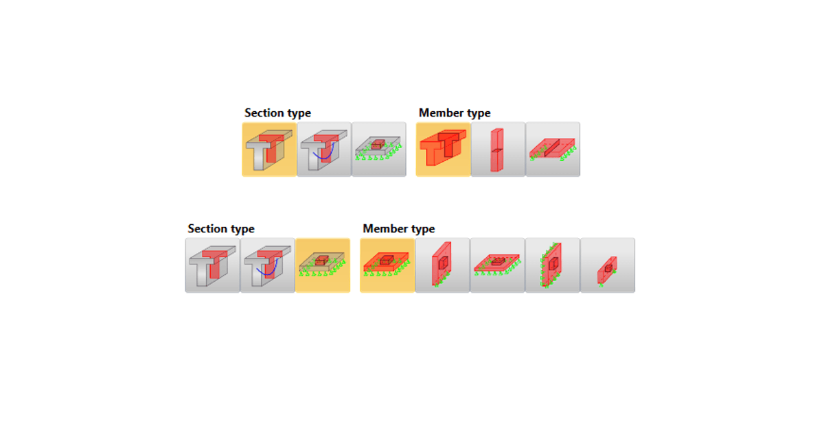 Section and member types in the RCS application